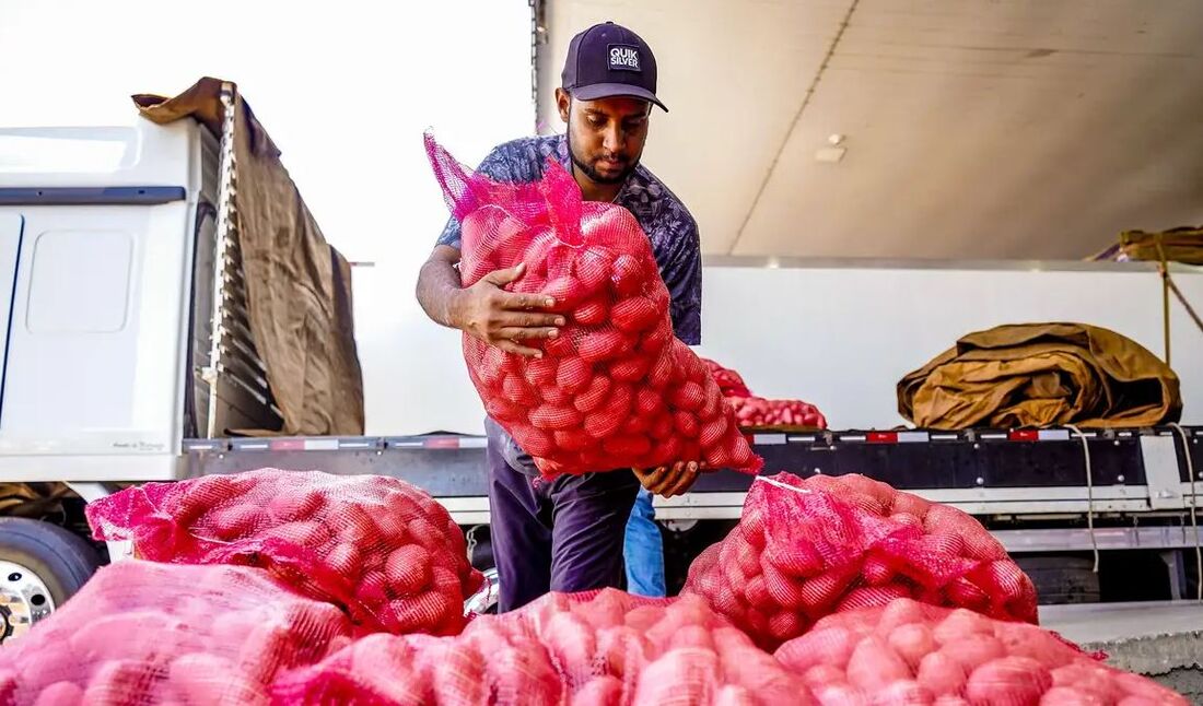 A batata vinha apresentando reduções constantes de preço desde julho de 2024