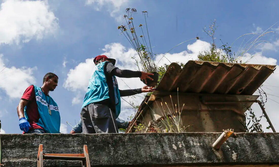 O Ministério da Saúde informou que vai enviar equipes técnicas a quatro estados brasileiros, com o objetivo de apoiar ações locais para o controle de arboviroses, incluindo a dengue.