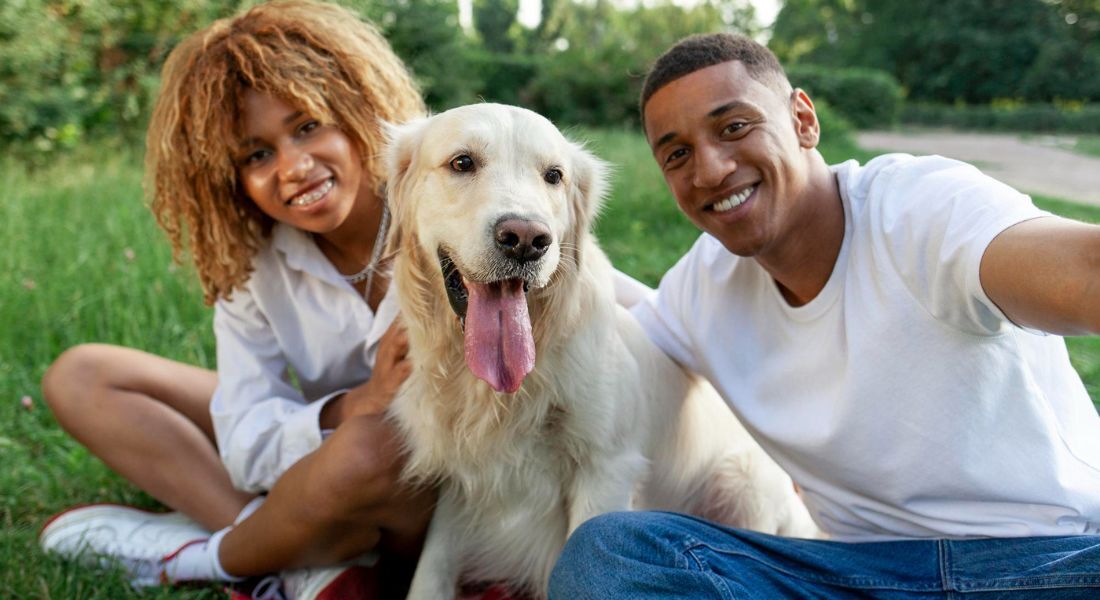 Animais de estimação como alternativa a ter filhos: solução controversa ou necessidade?