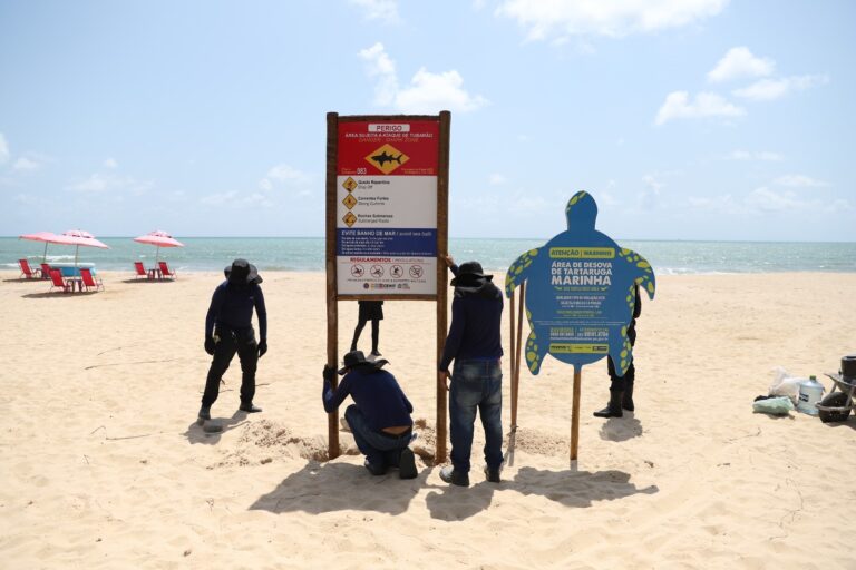 Placas alertando para incidentes com tubarão estão sendo trocadas no litoral da RMR