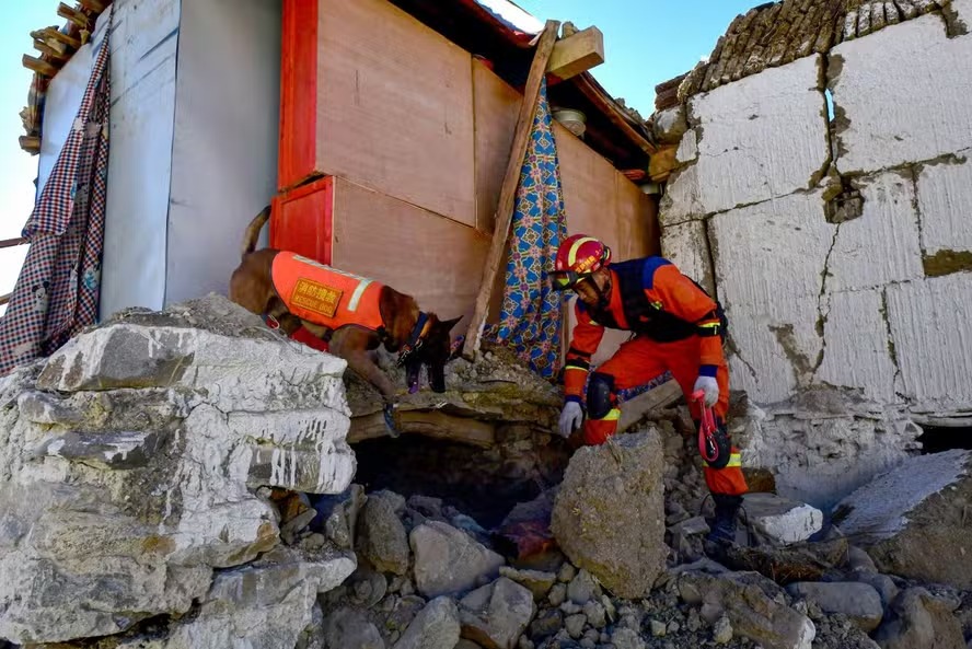 Socorrista busca sobreviventes em uma casa com um cão de resgate após um terremoto no distrito de Cuoguo, em Shigatse, na região do Tibete, no sudoeste da China, em 8 de janeiro de 2025 