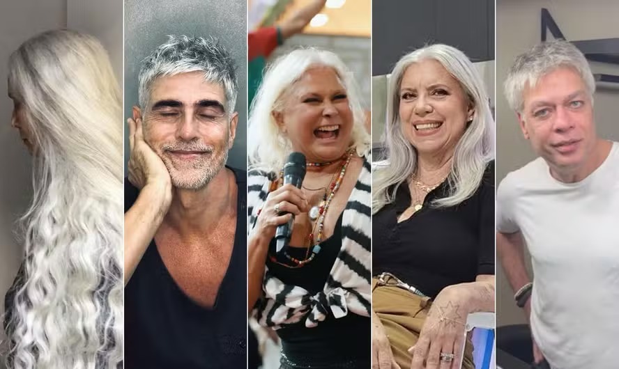 Da esquerda para a direita, Sonia Braga, Reynaldo Gianecchini, Fafá de Belém, Astrid Fontenelle e Fabio Assunção 