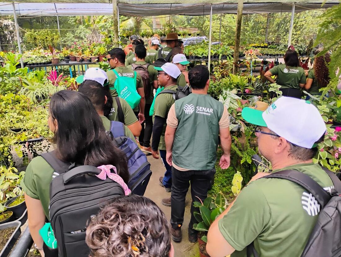 Senar-PE oferece cursos técnicos gratuitos de Agricultura, Agropecuária e Zootecnia