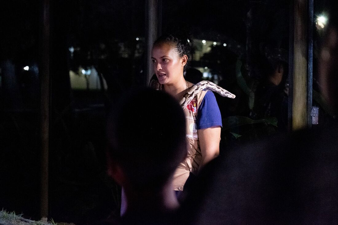 Parque Estadual Dois Irmãos divulga programação do Zoo Noturno 