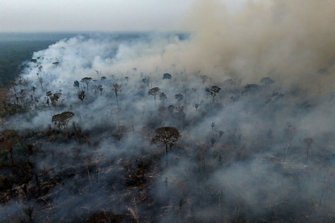 Queimadas na Amazônia (Brasil)
