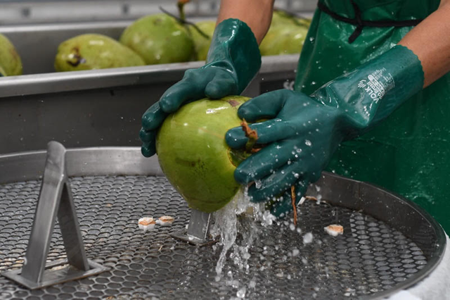 Cooperativas podem captar crédito para investir em estrutura e maquinário