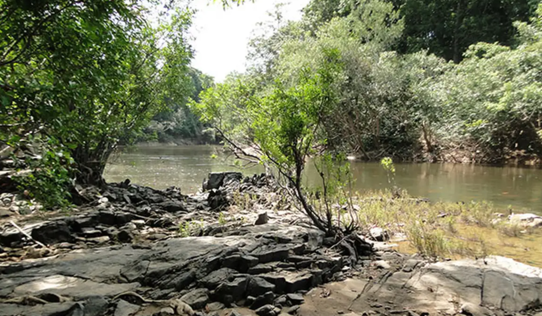 Desde dezembro de 2024, o MMA publicou o Plano Plurianual de Outorga Florestal (PPAOF), que já incluía a Flona do Jatuarana entre as previsões de concessão