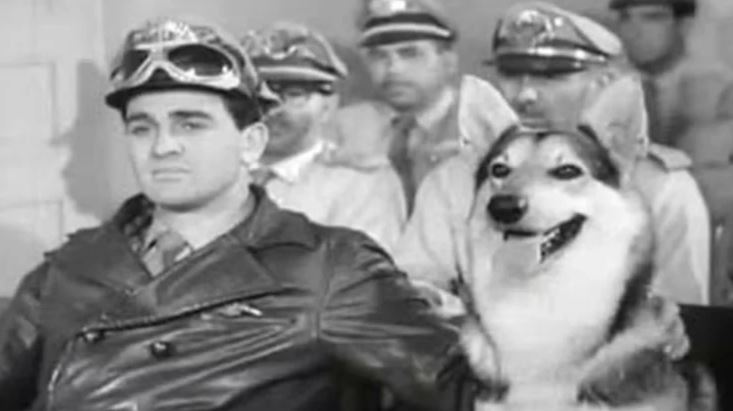 "O Vigilante Rodoviário" foi um seriado brasileiro exibido na década de 1960