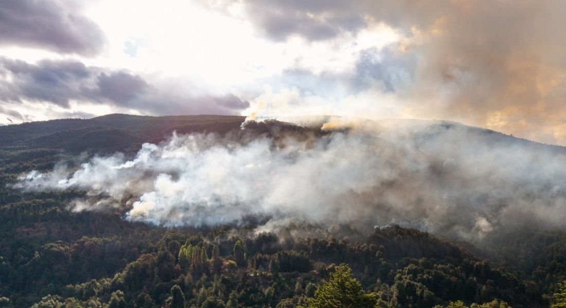 Incêndio na Patagônia argentina