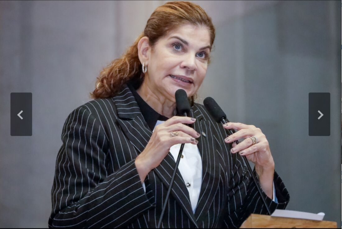 Líder do Governo na Alepw, deputada Socorro Pimentel (União Brasil)