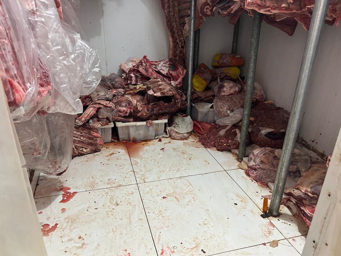 Carnes estavam mal armazenadas no estabelecimento 