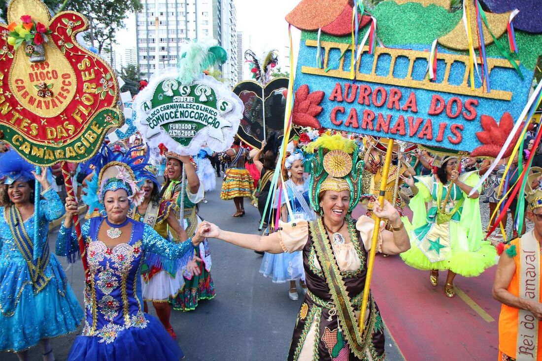 Os blocos saíram em cortejo da Avenida Mário Melo, em Santo Amaro, centro da cidade