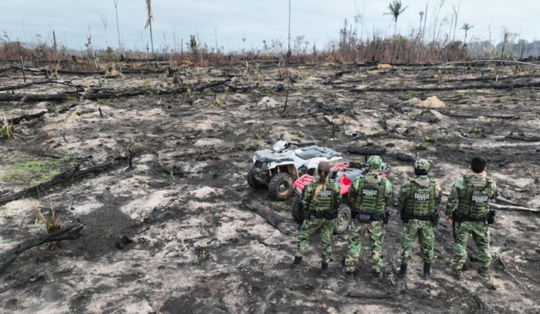 Foram 12 ações civis infratores que promoveram a destruição de 6,8 mil hectares em 11 estados, nos biomas Amazônia, Mata Atlântica, Pantanal, Pampa e Cerrado