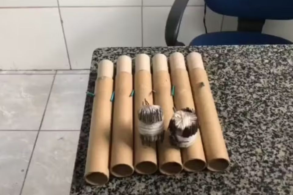 Bombas caseiras foram encontradas com integrantes de uma torcida organizada do Sport