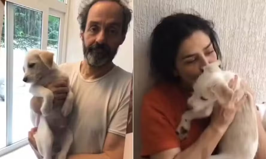 Daniel Dantas e Letícia Sabatella com os animais 