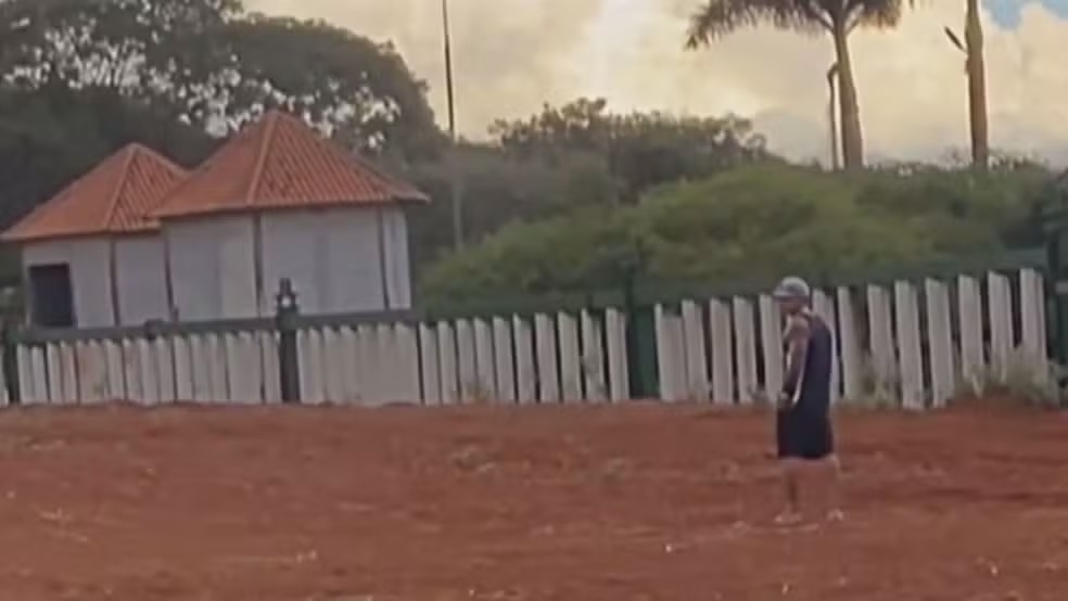 Homem invade recinto de elefante no Zoológico de Brasília