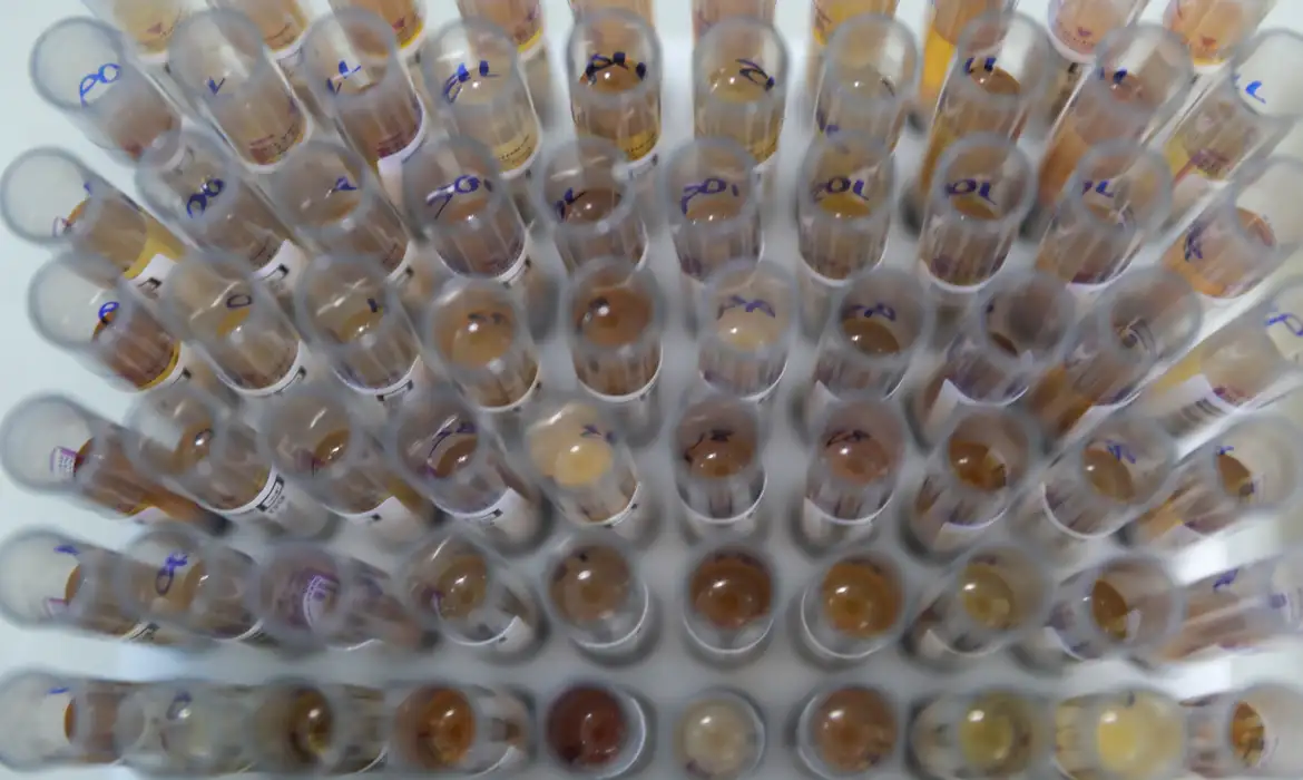 Casos de malária no Brasil caem 26% no primeiro trimestre de 2025