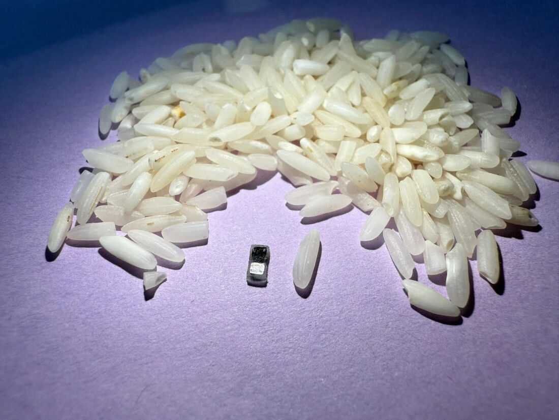 O menor marcapasso do mundo, um regulador temporário de batimentos cardíacos menor que um grão de arroz que pode ser injetado, controlado pela luz e eventualmente se dissolve.