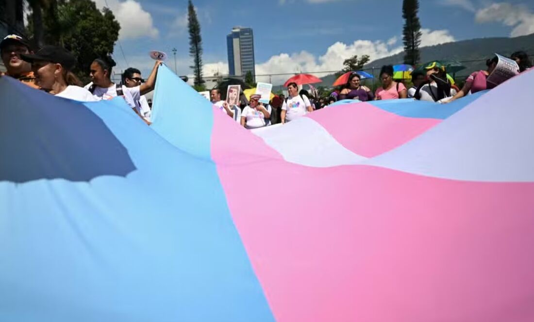 Membros de grupos LGBTQ+ seguram uma grande bandeira do Orgulho Trans
