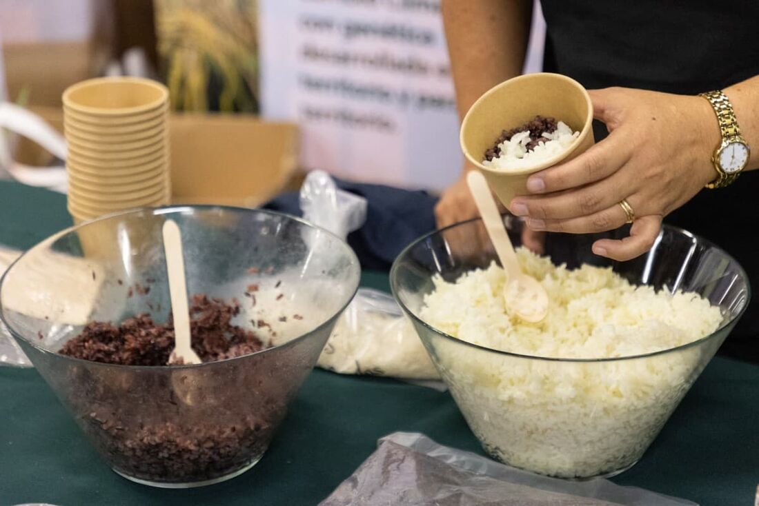 Karla Cordero é engenheira agrônoma com mestrado em ciências do melhoramento genético pelo programa de arroz do INIA