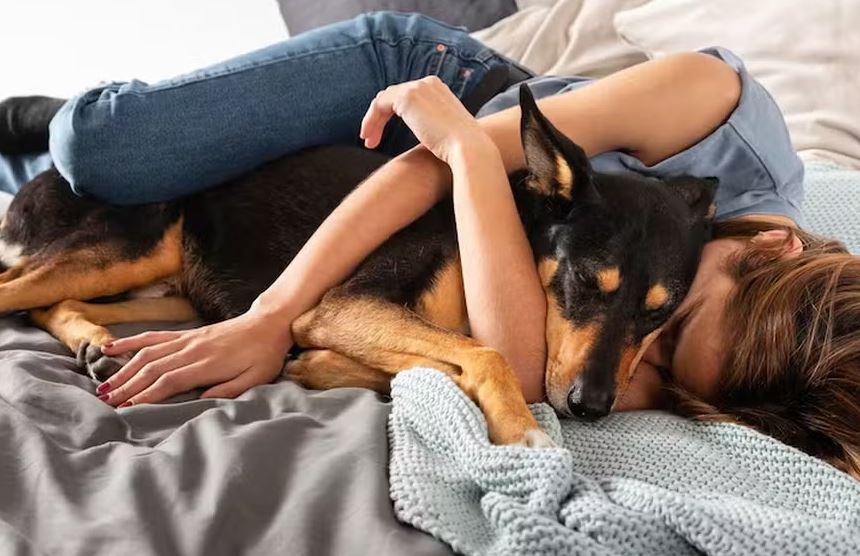 Cachorro pode ou não dormir na cama com dono?