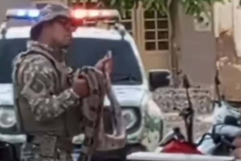 Após influenciador ser retirado de shopping, caso envolvendo animal se repete no agreste do estado