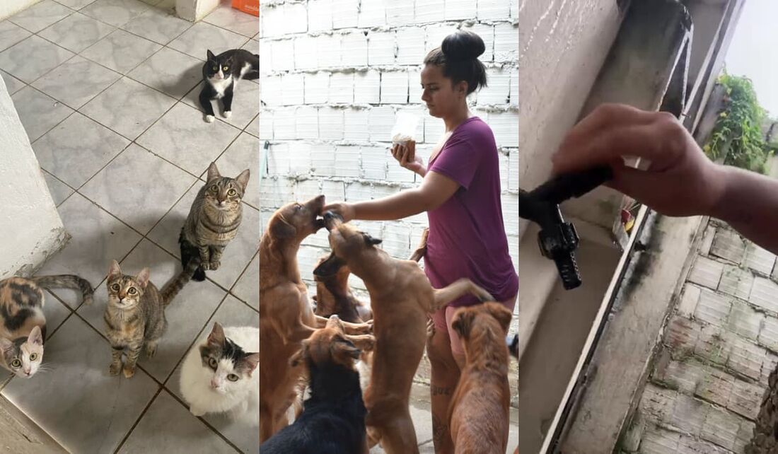 Fundadora publicou no Instagram um vídeo relatando a situação de vulnerabilidade que o abrigo vive