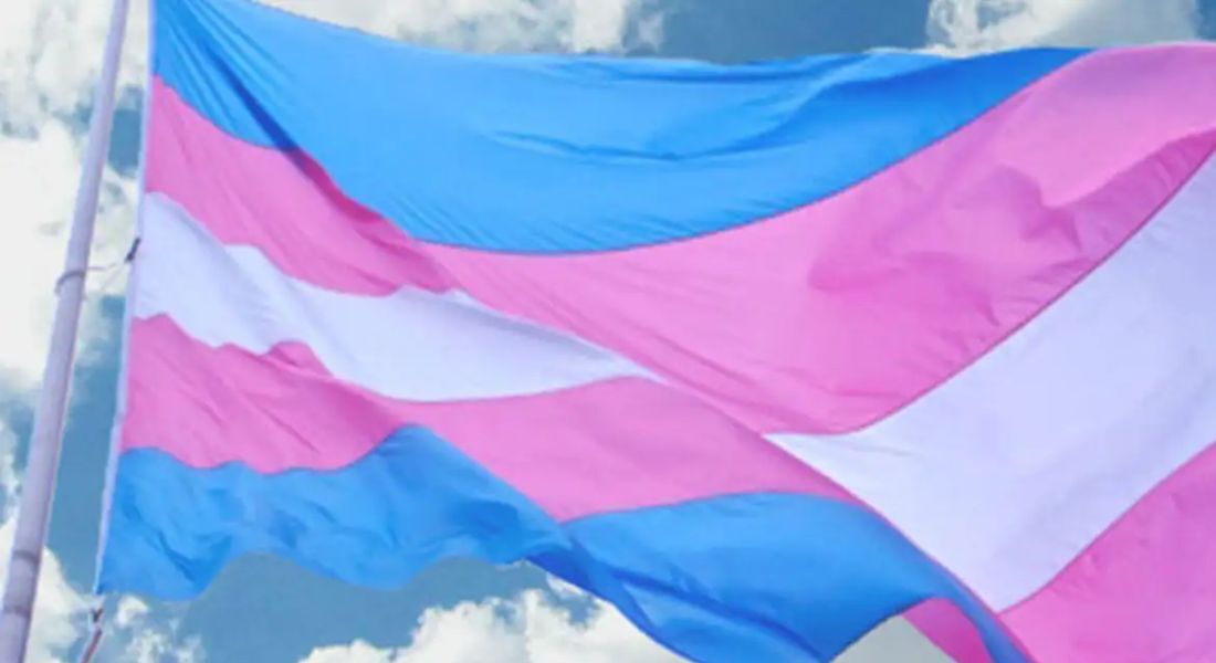 Conselho Federal de Medicina (CFM) proíbe o bloqueio hormonal em menores de idade