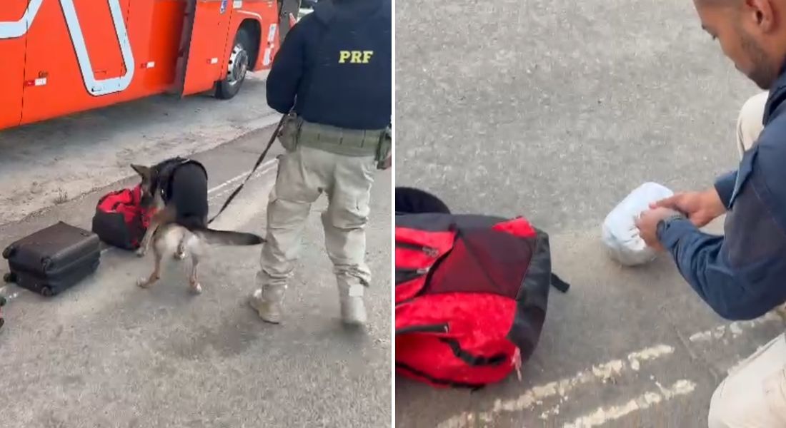 Na bolsa, foram encontradas 210 pedras de crack, porções de maconha, além de uma balança de precisão