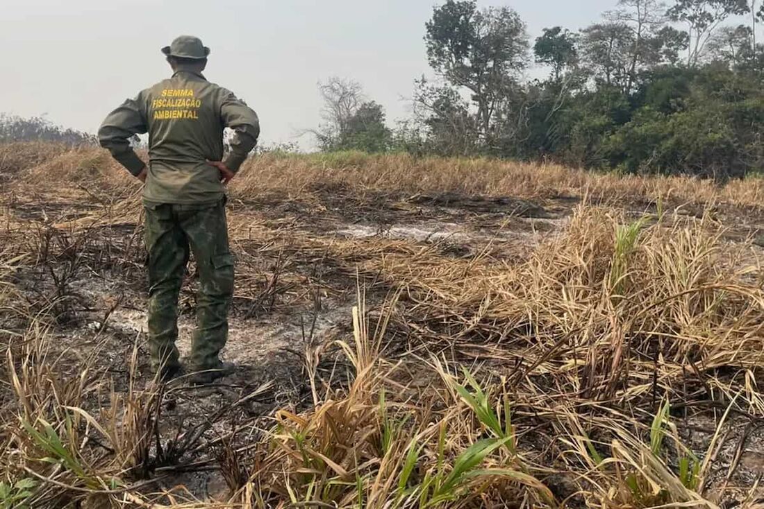 Fiscalização Ambiental