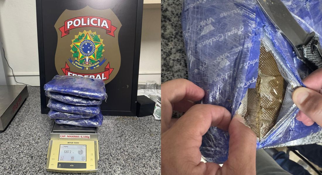 Droga foi identificada durante uma fiscalização de rotina
