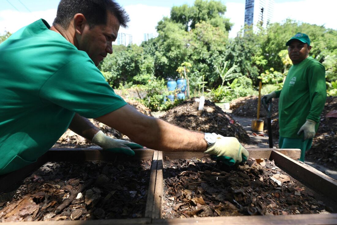 A Semana Municipal da Compostagem quer contribuir com um Recife mais sustentável e ecológico