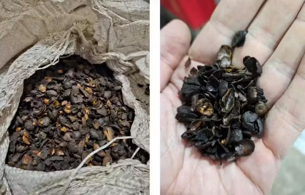 Produtos, apontados como "café fake", foram apreendidos pelo Ministério da Agricultura em operação