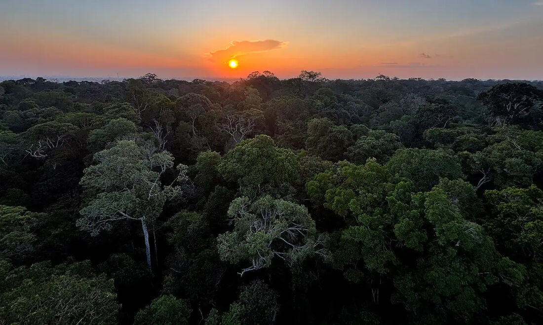 O Instituto Clima e Sociedade (iCS) lançou o edital Desafio IA Natureza & Clima para incentivar o desenvolvimento de novos usos de tecnologias digitais
