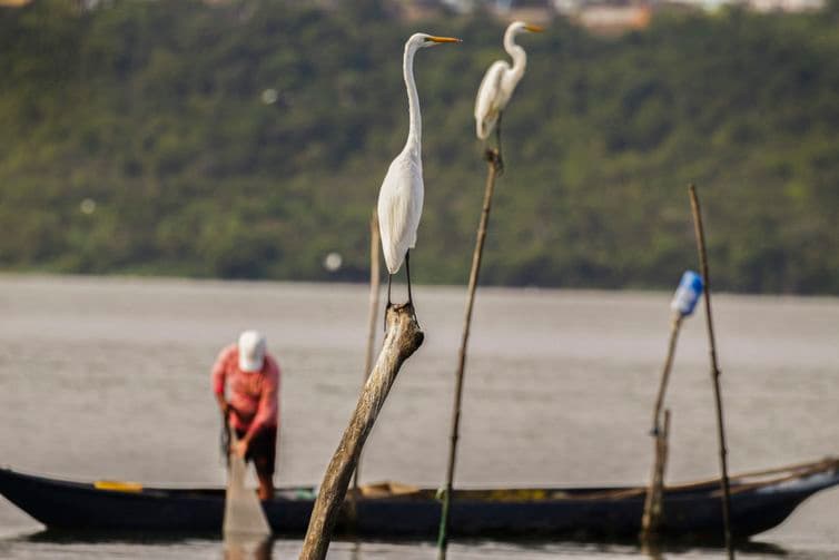 A pesca amadora e esportiva é definida pela Lei 11.959, de 29 de junho de 2009, como uma atividade não comercial, na qual o peixe capturado não é fonte de renda ou subsistência e é devolvido a seu habitat natural - o chamado "pesque e solte"