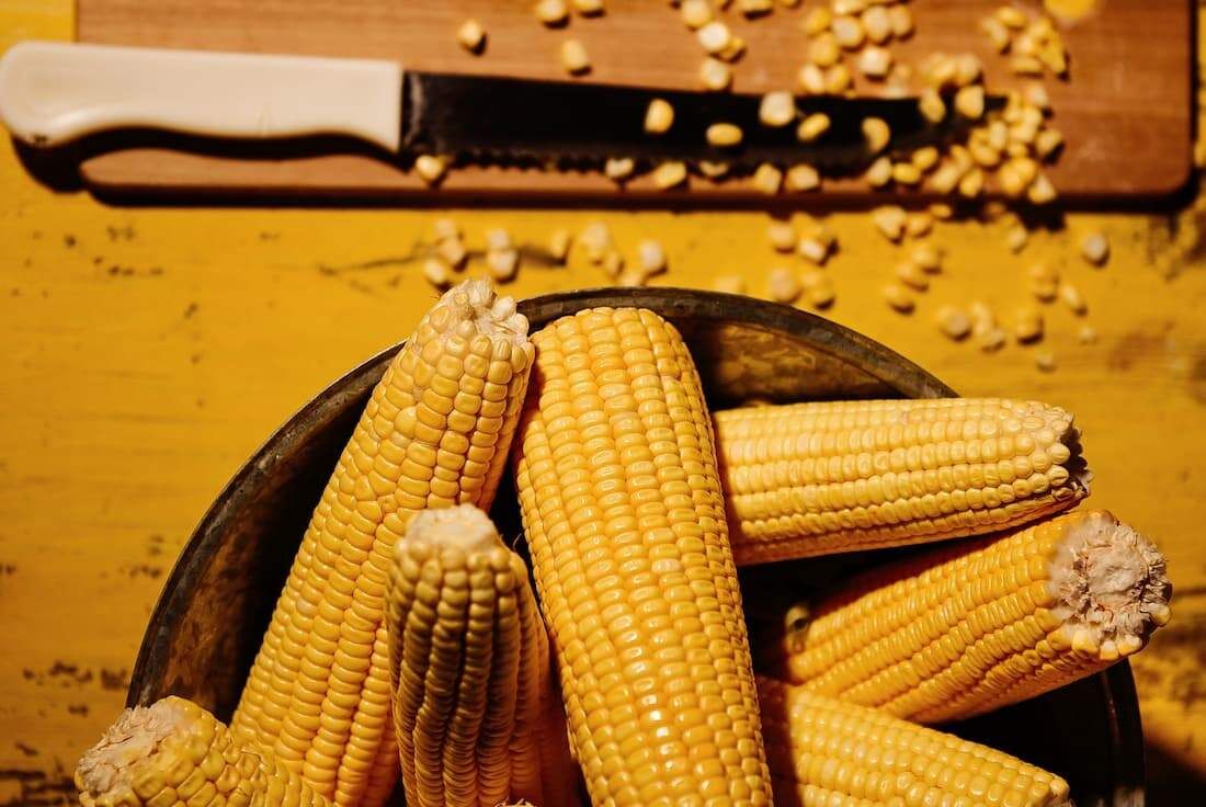 Brasil exportou US$ 1,2 bilhão (R$ 6,5 bilhões)para o mercado venezuelano, com destaque para açúcar, arroz, milho e outros alimentos