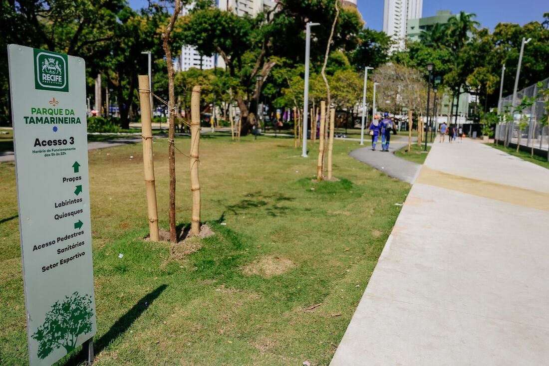 Festival Palco Espiral acontece neste sábado (3) no Parque da Tamarineira