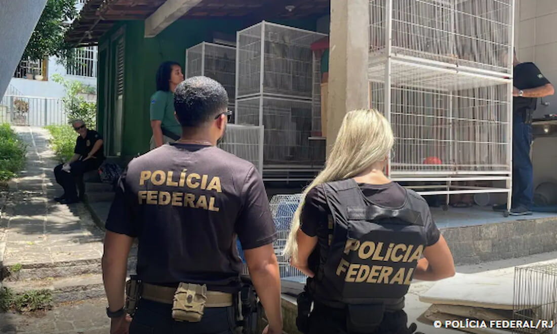 STF julga suspensão da regra que igualou em 55 anos a idade mínima para aposentadoria de homens e mulheres policiais civis e federais