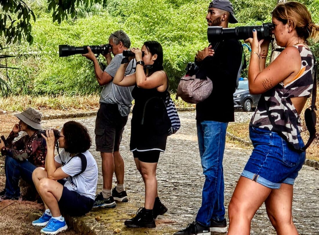 Projeto oferece atividades gratuitas para observação de aves em parques e praças