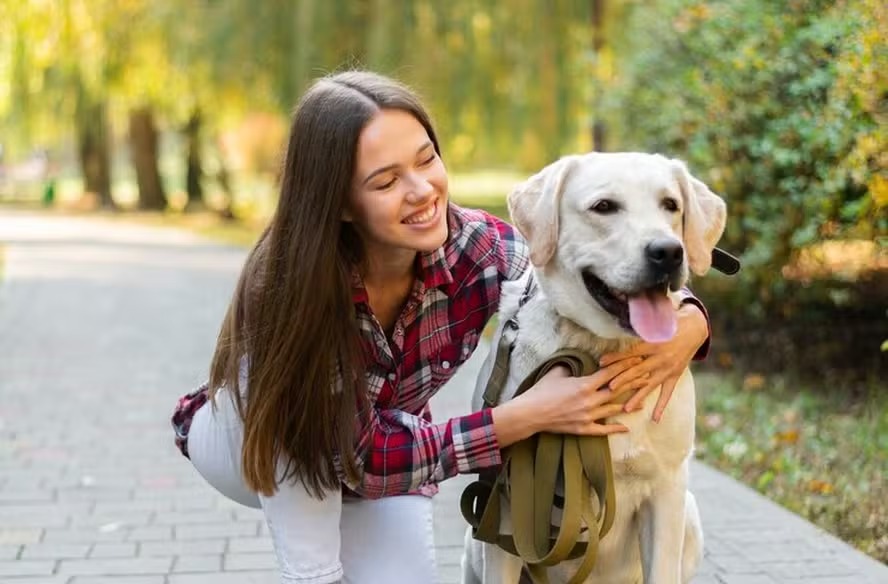 "Não vou ter filhos, vou ter animais de estimação": por que as pessoas estão tomando essa decisão?