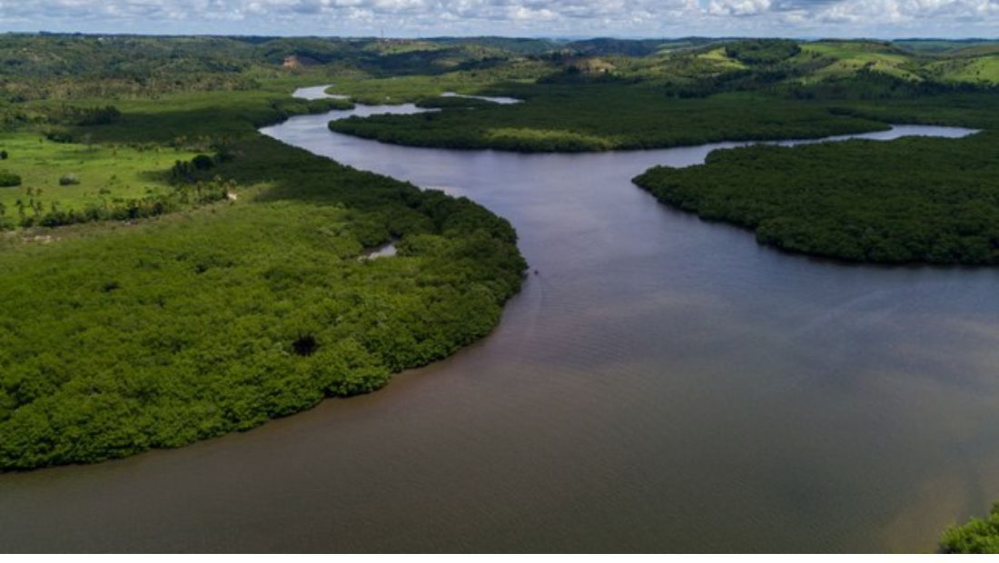 Consulta pública discute proteção do último manguezal conservado de Pernambuco