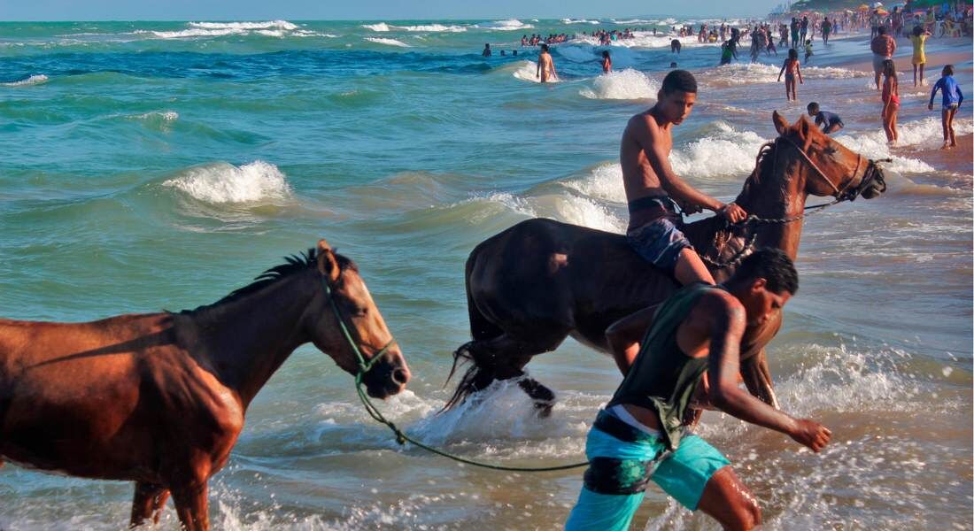 Salão de Fotografia do Recife reúne fotos de 15 artistas