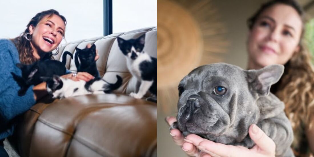 Paolla Oliveira compartilhou imagens com gatos e cachorros que adotou 