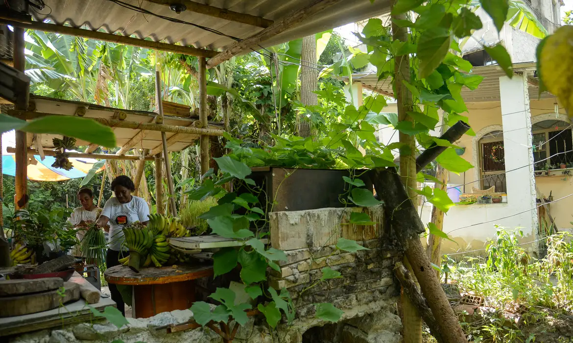 Terras quilombolas no Brasil