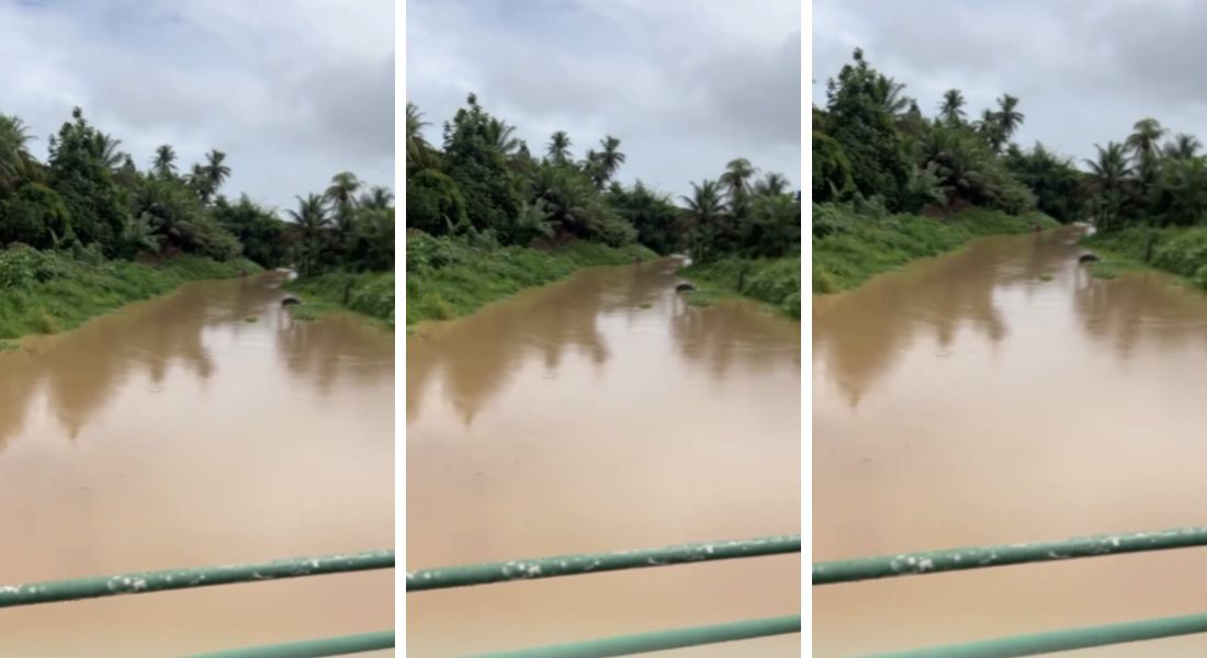 Chuvas elevaram nível de cursos d´água na Mata Sul