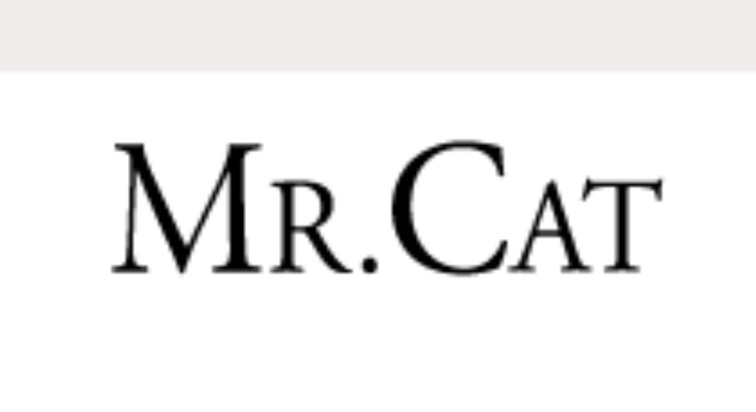 Mr. Cat