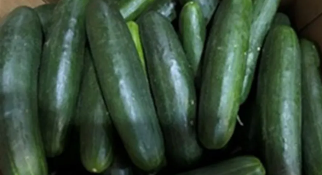 Agência americana emite alerta sobre consumo de pepinos de fornecedora por presença de Salmonella