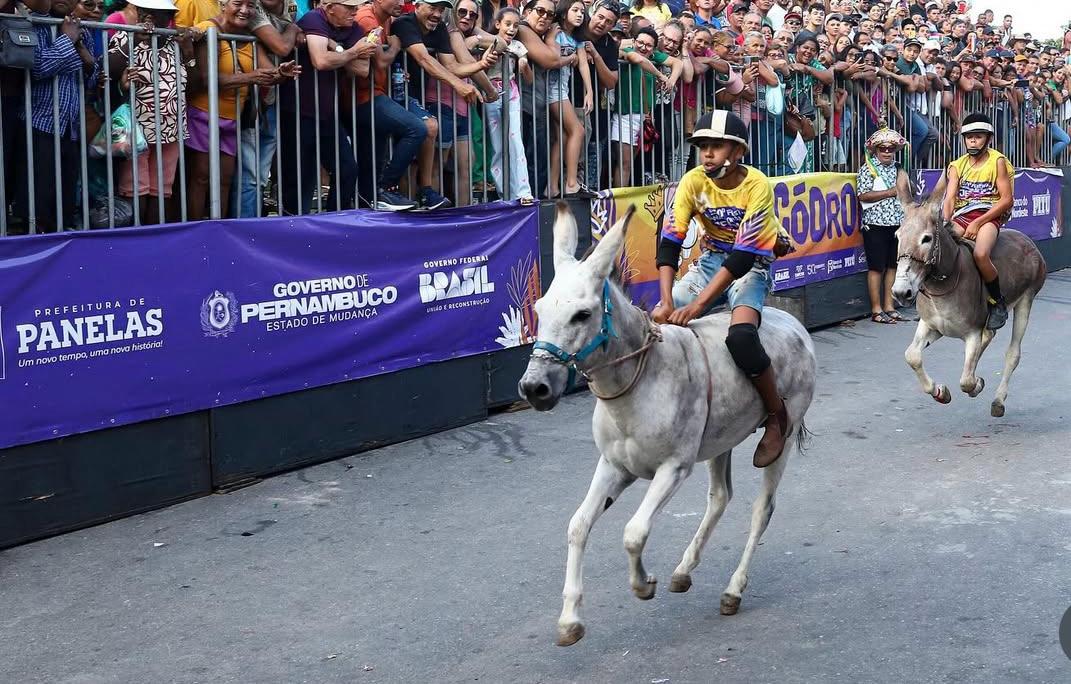 50º Festival Nacional de Jericos, em Panelas, realizado em 2024