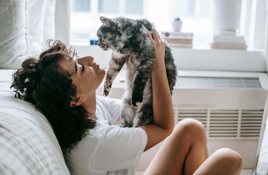 Tutores ficaram mais apegados a seus pets durante o período de isolamento