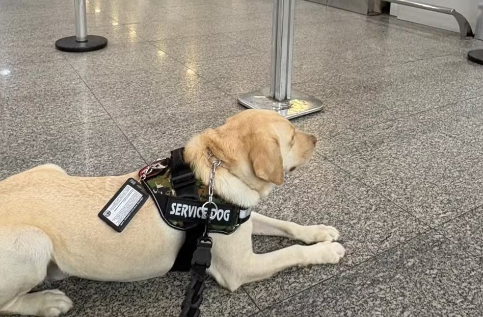 Voo terminou sendo cancelado porque TAP não cumpriu liminar 